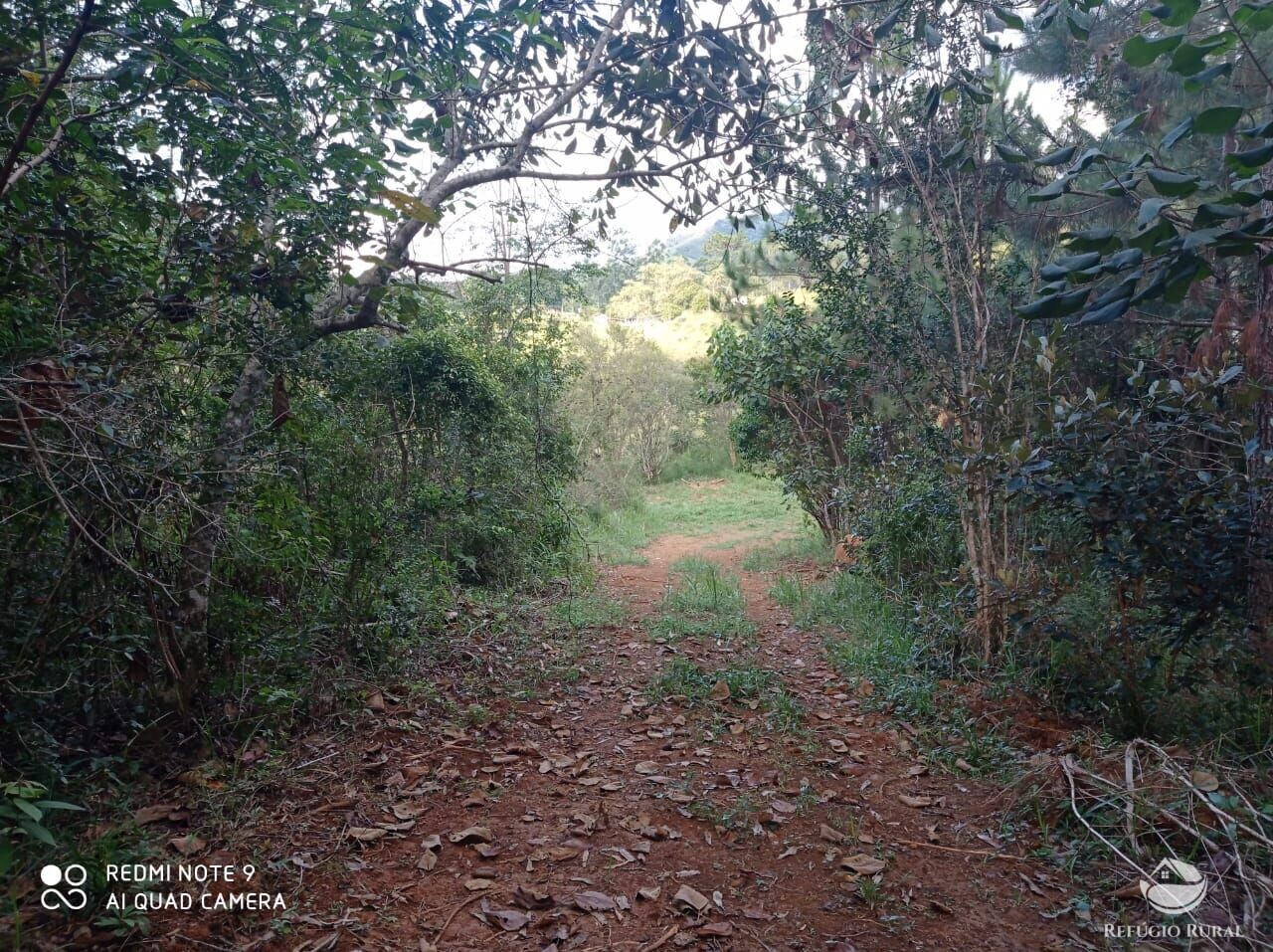 Fazenda à venda com 1 quarto, 72600m² - Foto 15