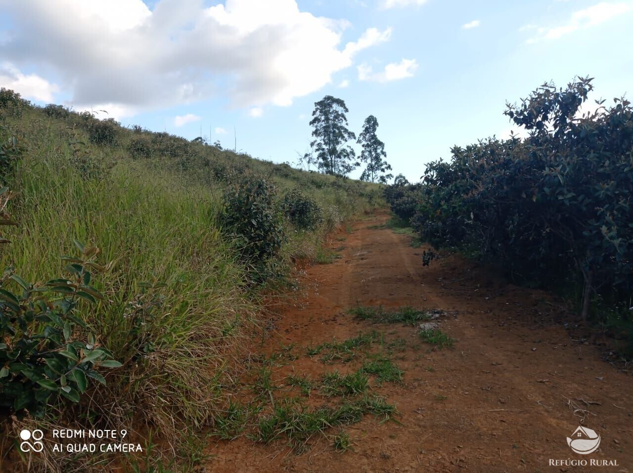 Fazenda à venda com 1 quarto, 72600m² - Foto 29