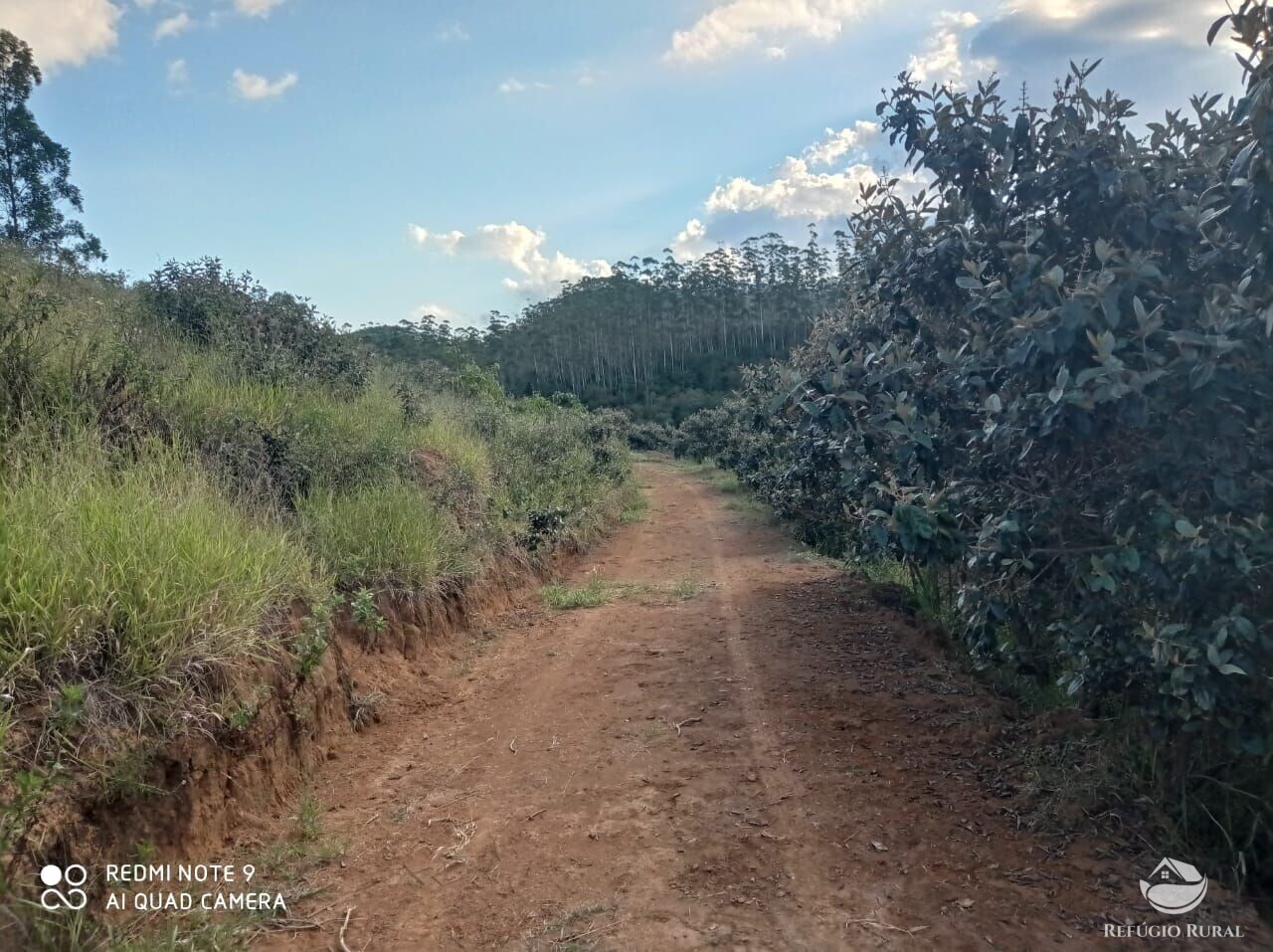 Fazenda à venda com 1 quarto, 72600m² - Foto 26