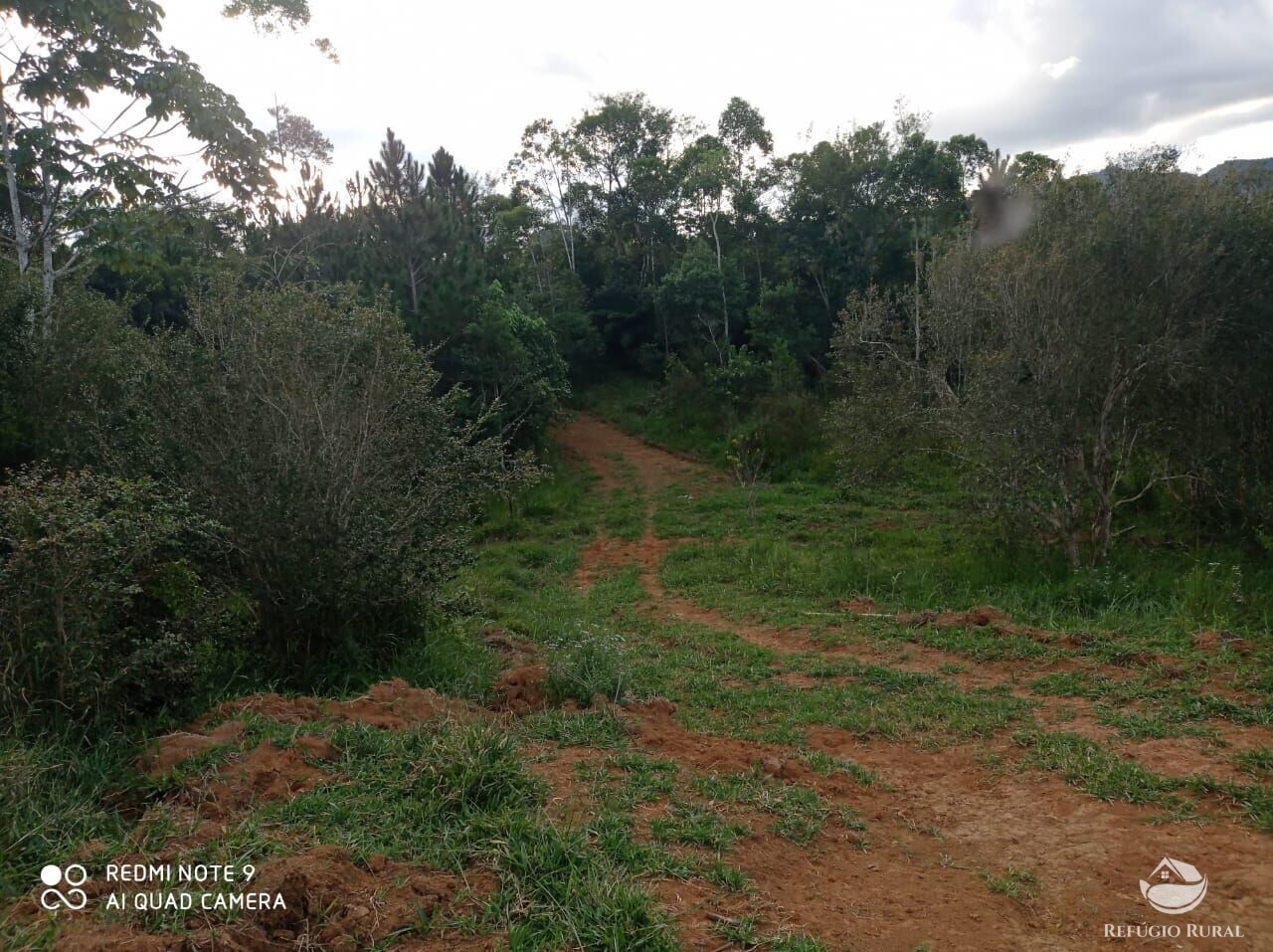 Fazenda à venda com 1 quarto, 72600m² - Foto 45