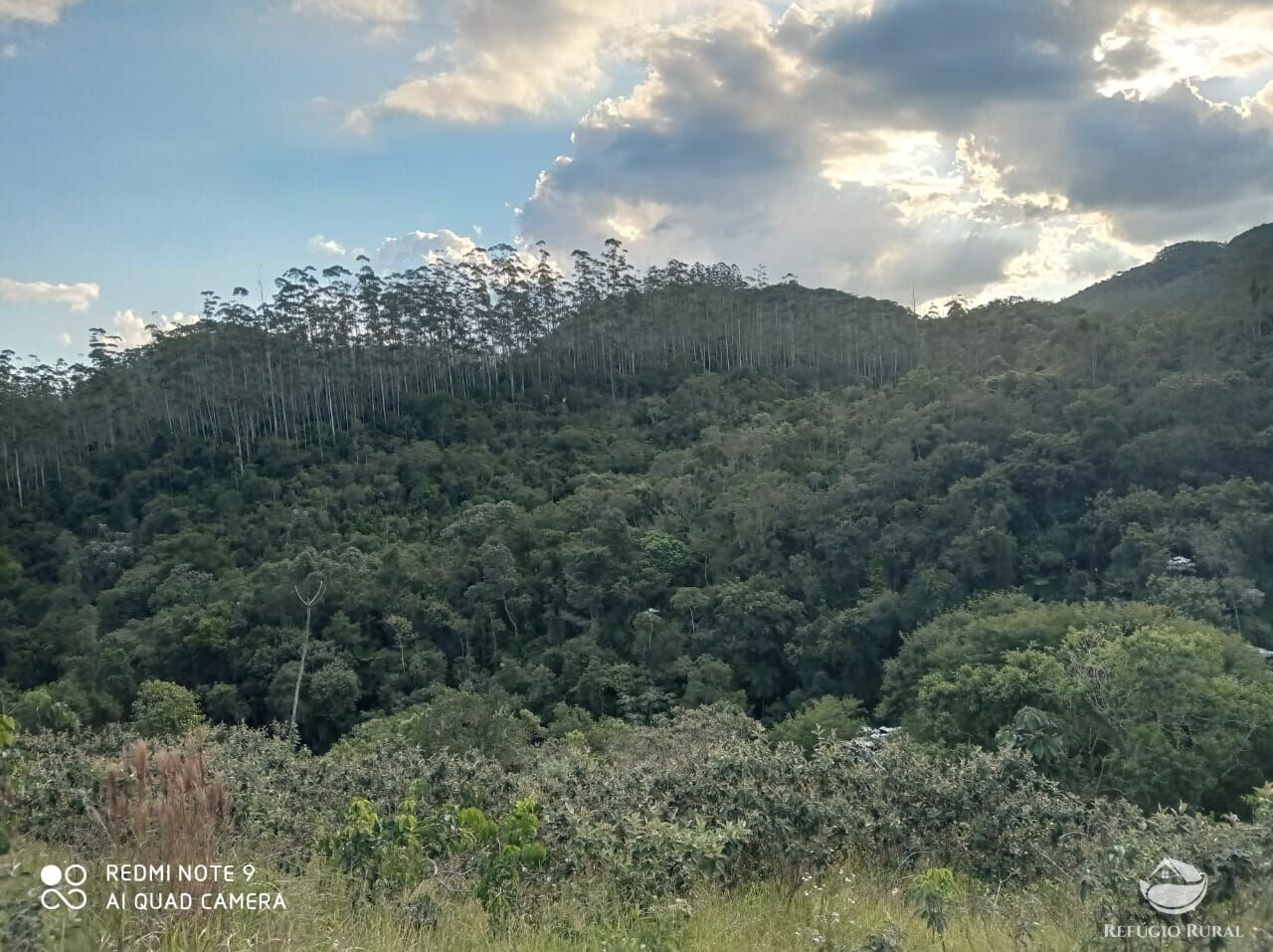 Fazenda à venda com 1 quarto, 72600m² - Foto 20