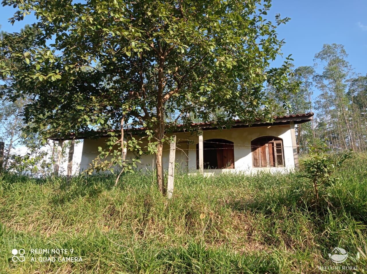 Fazenda à venda com 1 quarto, 72600m² - Foto 4