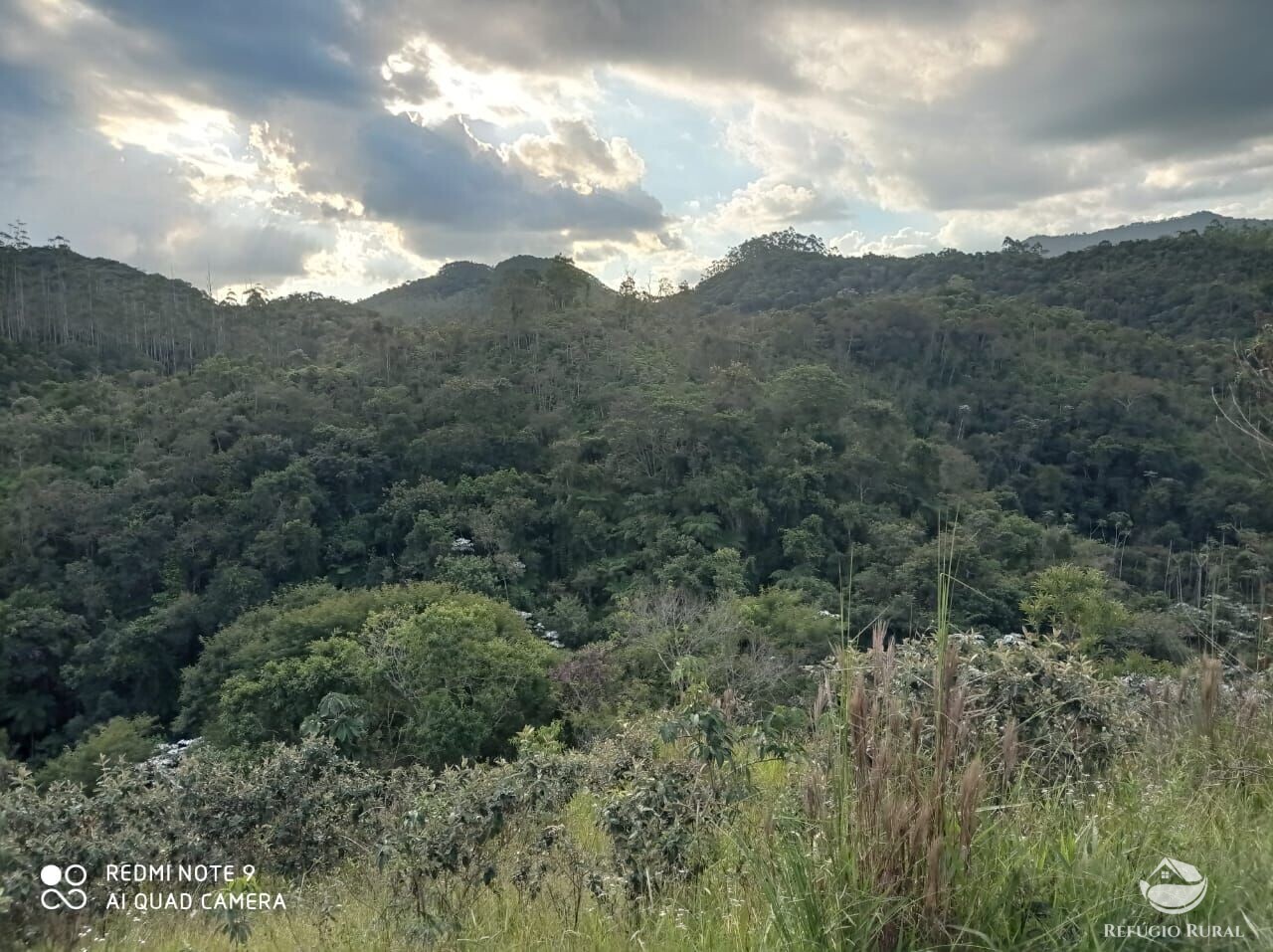 Fazenda à venda com 1 quarto, 72600m² - Foto 37