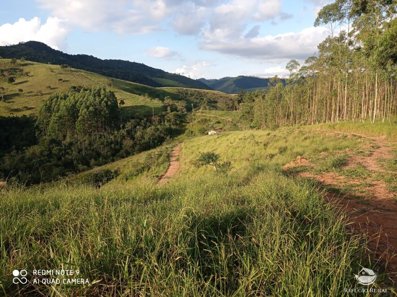 Fazenda à venda com 1 quarto, 72600m² - Foto 39