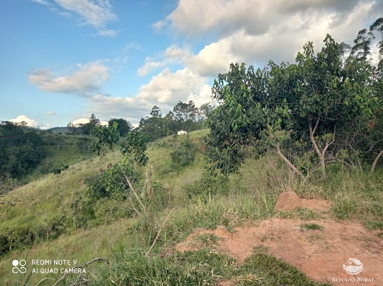 Fazenda à venda com 1 quarto, 72600m² - Foto 30