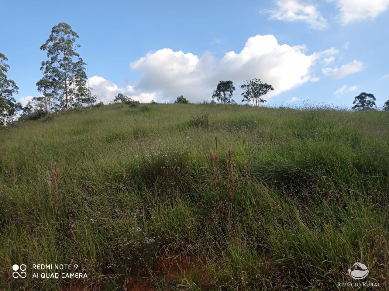 Fazenda à venda com 1 quarto, 72600m² - Foto 23