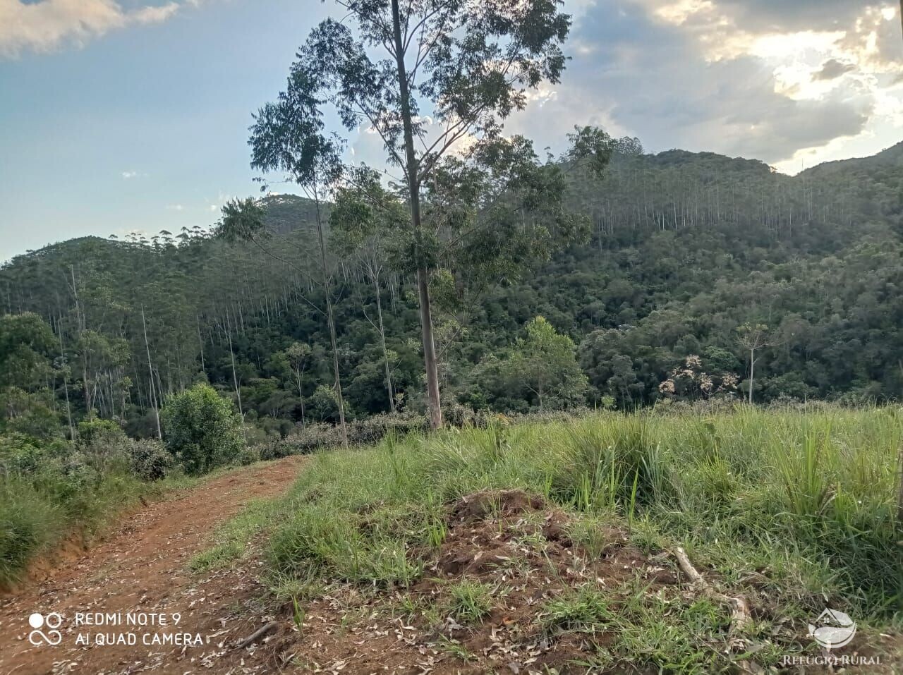 Fazenda à venda com 1 quarto, 72600m² - Foto 2