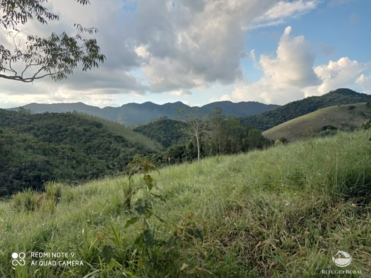 Fazenda à venda com 1 quarto, 72600m² - Foto 13