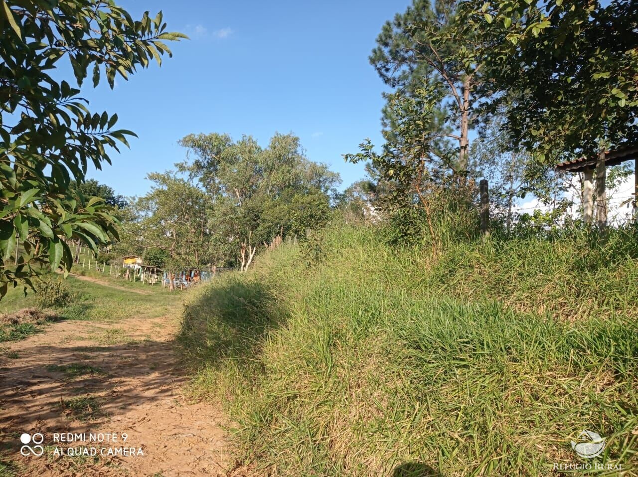 Fazenda à venda com 1 quarto, 72600m² - Foto 33