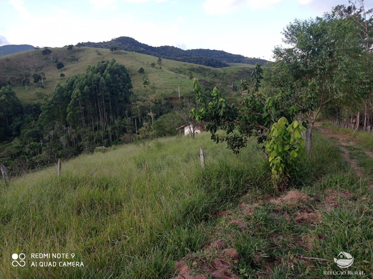 Fazenda à venda com 1 quarto, 72600m² - Foto 8