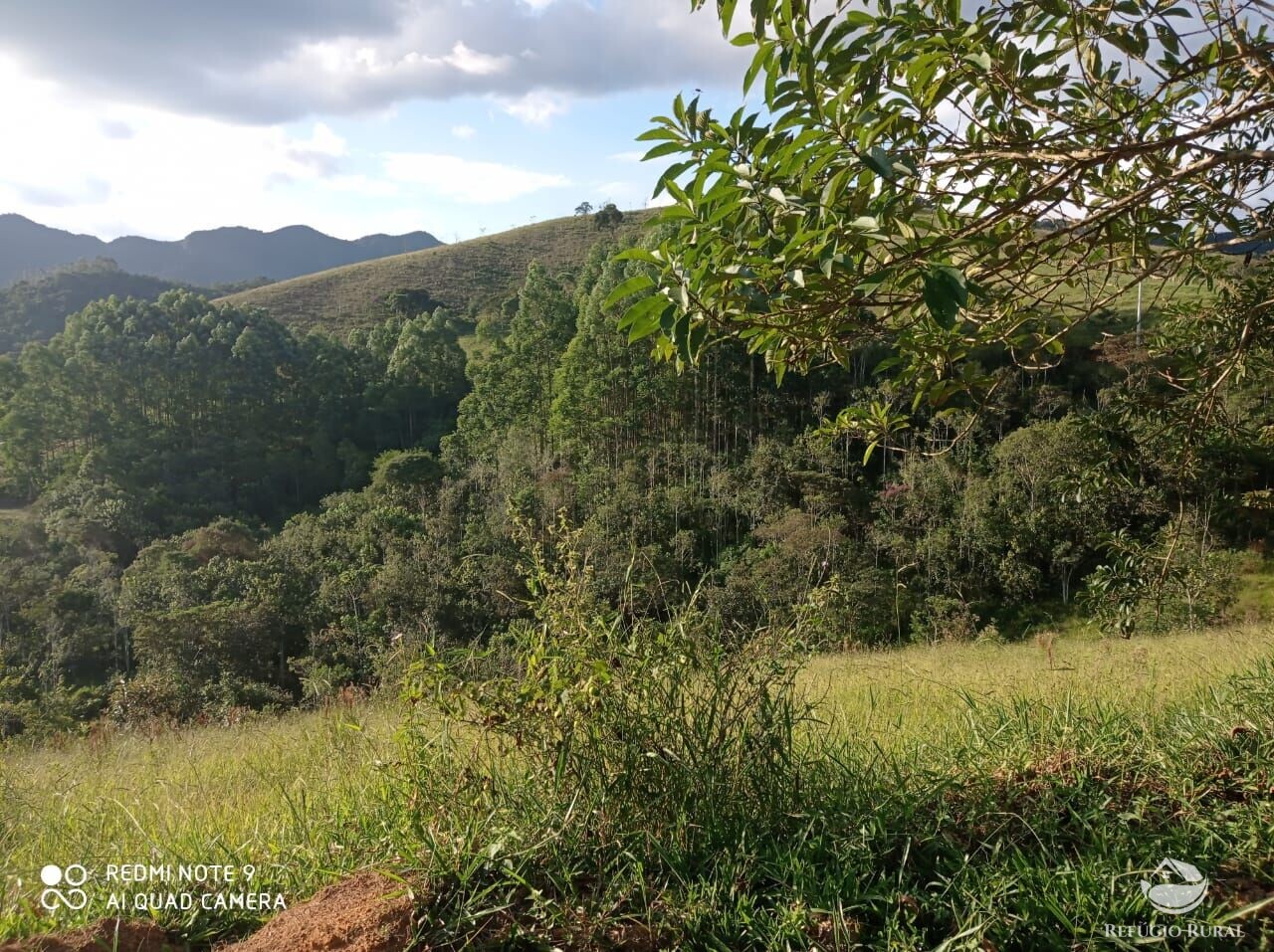 Fazenda à venda com 1 quarto, 72600m² - Foto 35