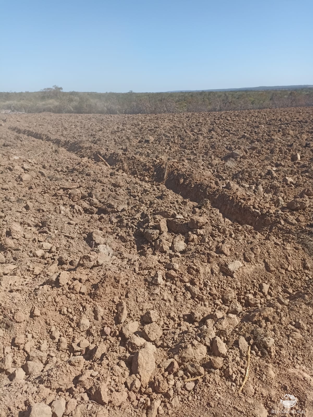 Fazenda à venda com 2 quartos, 21770000m² - Foto 7