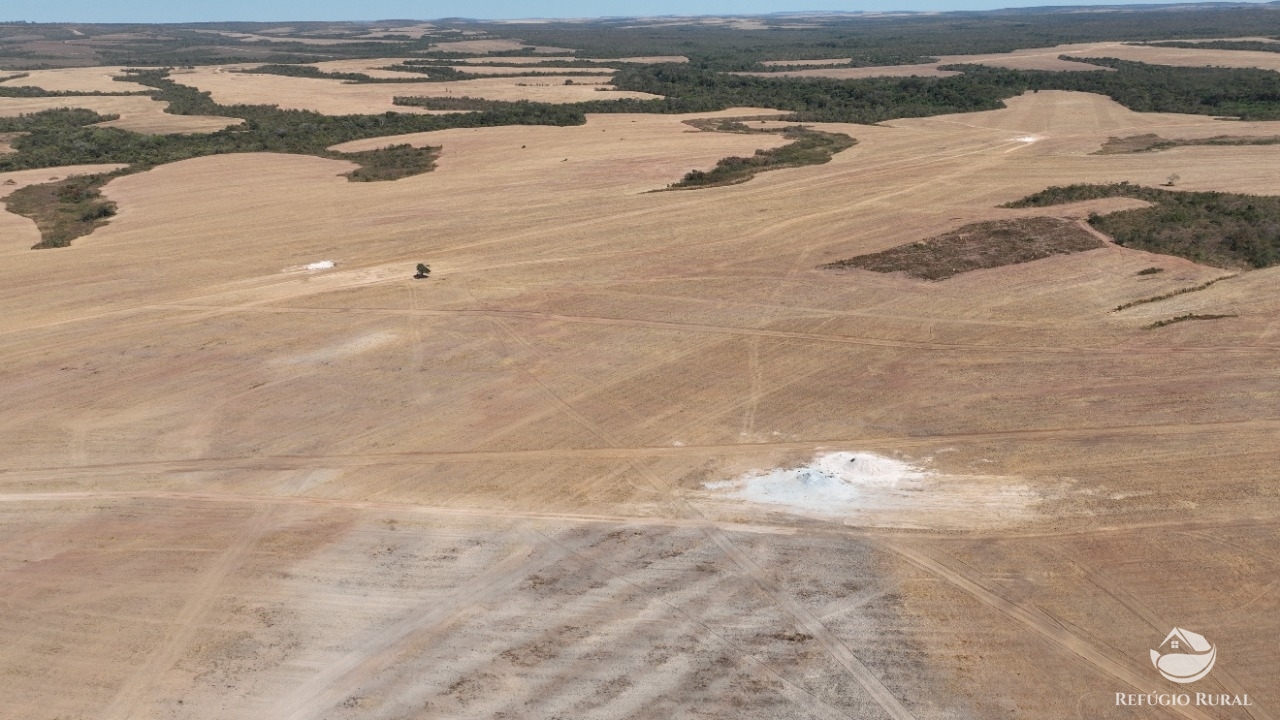 Fazenda à venda com 2 quartos, 21770000m² - Foto 9