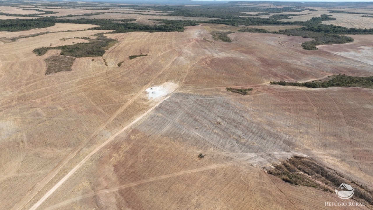 Fazenda à venda com 2 quartos, 21770000m² - Foto 13