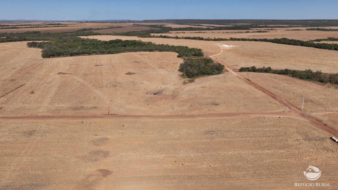 Fazenda à venda com 2 quartos, 21770000m² - Foto 6