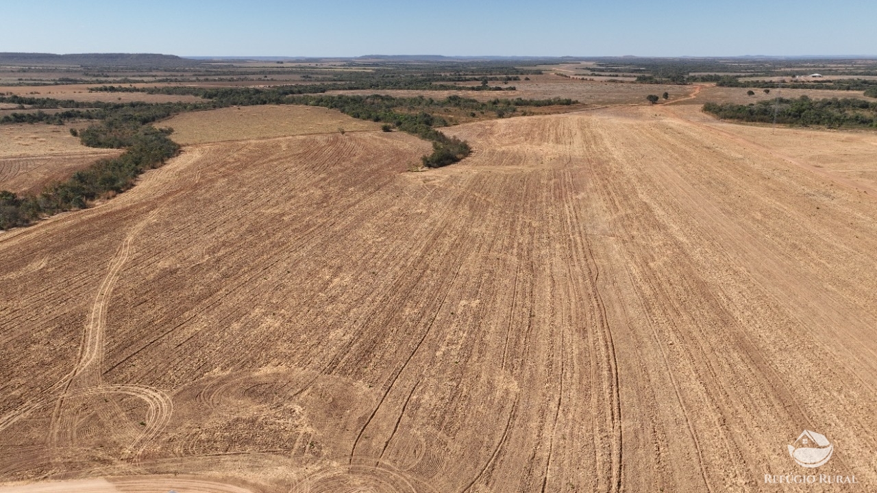 Fazenda à venda com 2 quartos, 21770000m² - Foto 5