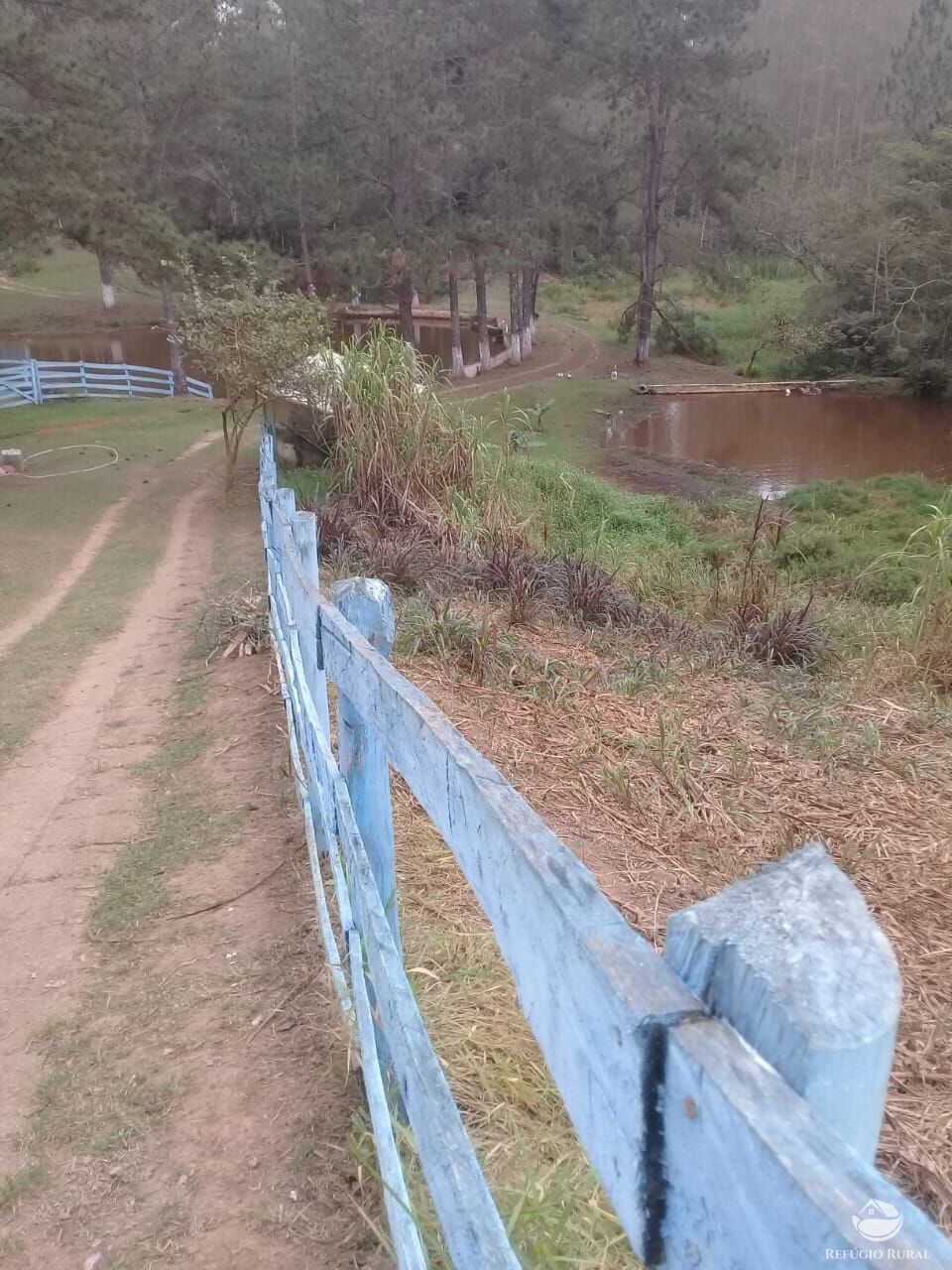 Fazenda à venda com 3 quartos, 48400m² - Foto 3