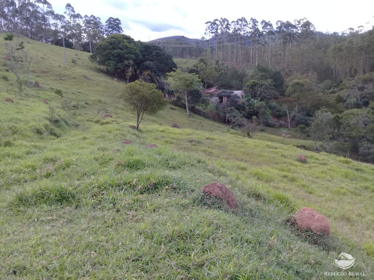 Fazenda à venda com 3 quartos, 48400m² - Foto 2