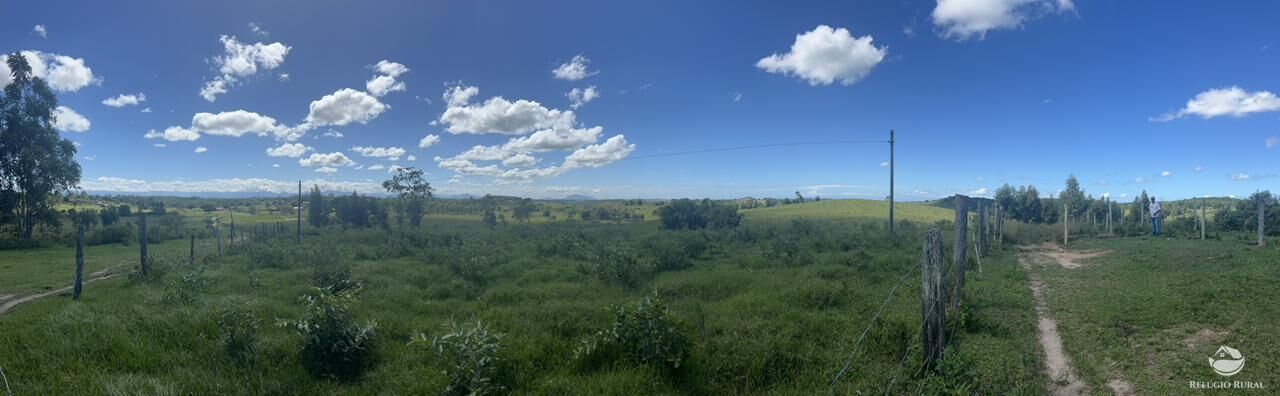 Fazenda, 141 hectares - Foto 23
