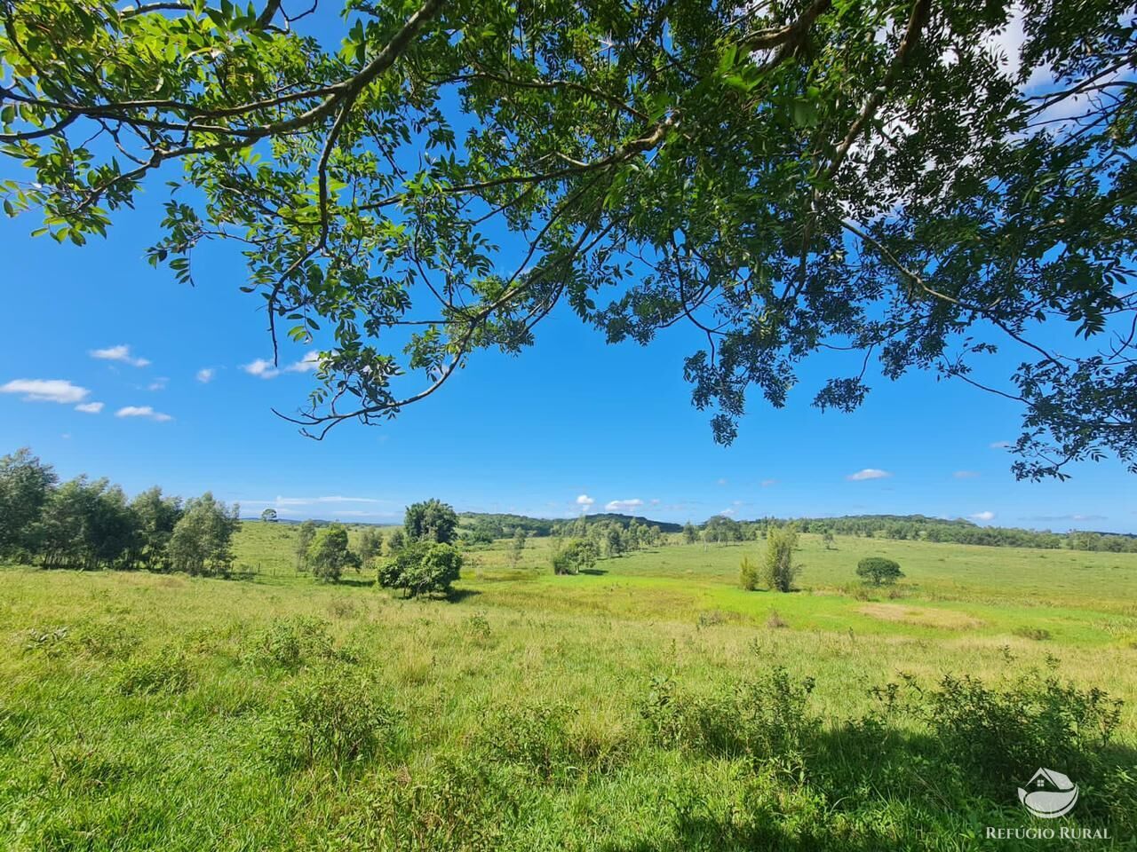 Fazenda, 141 hectares - Foto 27