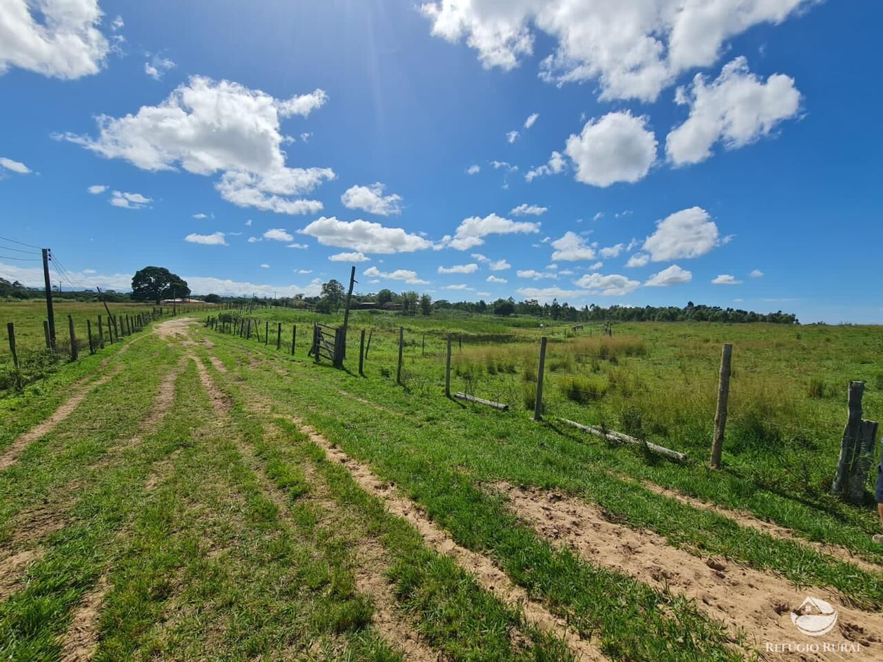 Fazenda, 141 hectares - Foto 40