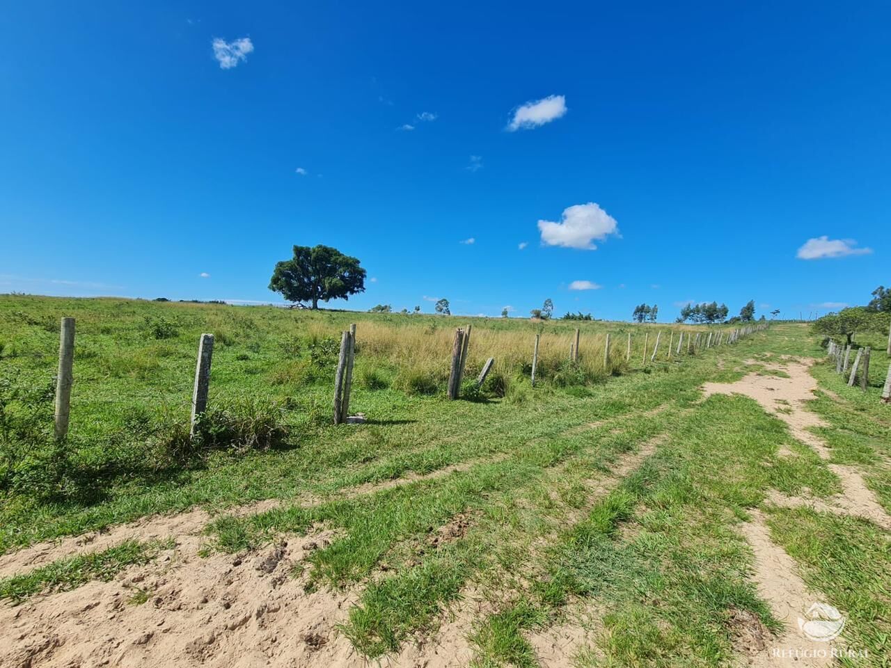 Fazenda, 141 hectares - Foto 32