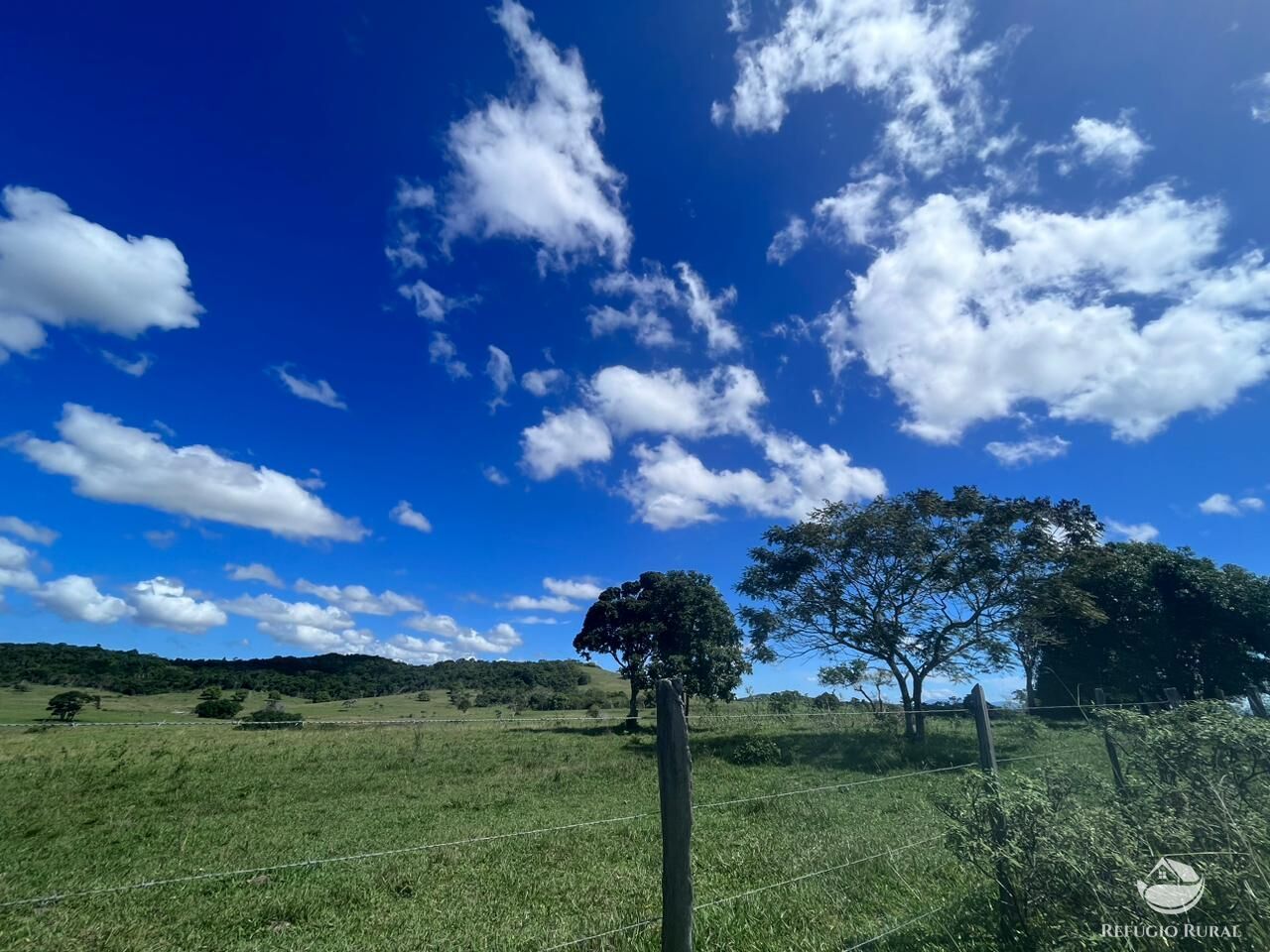 Fazenda, 141 hectares - Foto 4