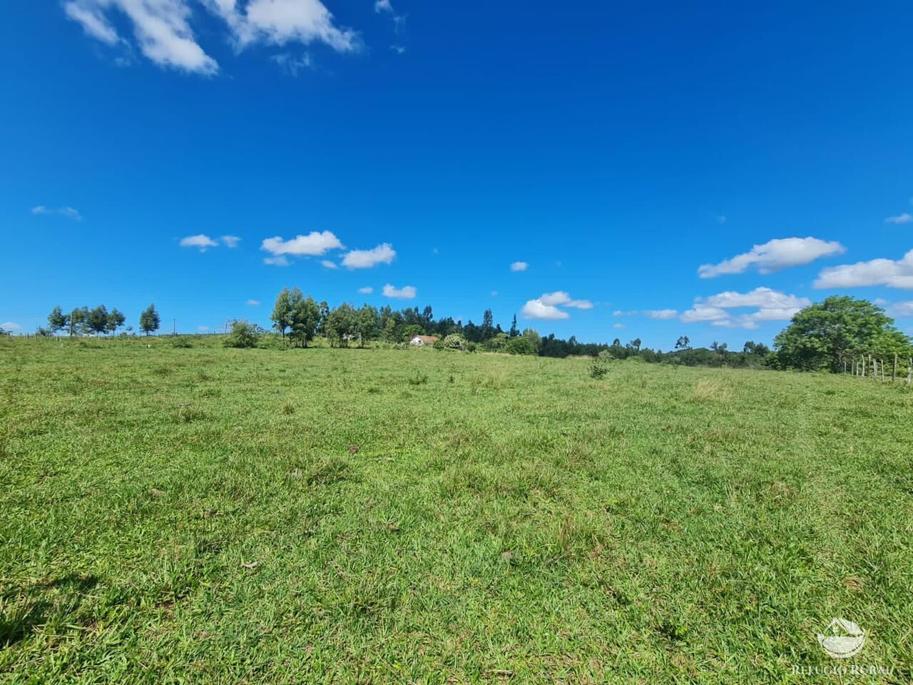 Fazenda, 141 hectares - Foto 30