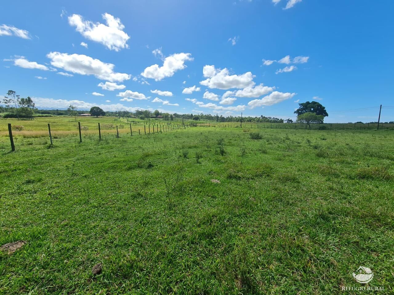 Fazenda, 141 hectares - Foto 33