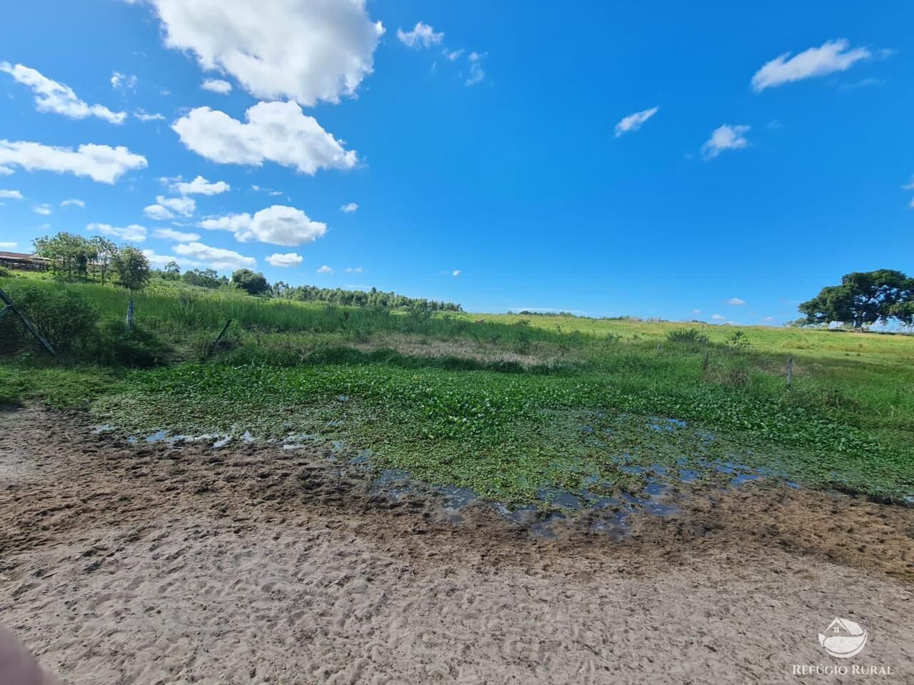 Fazenda, 141 hectares - Foto 42