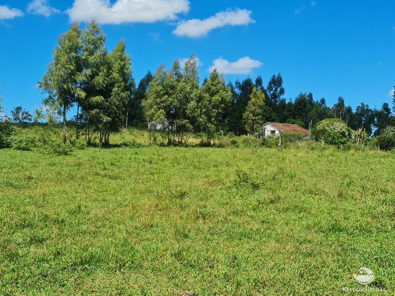 Fazenda, 141 hectares - Foto 28