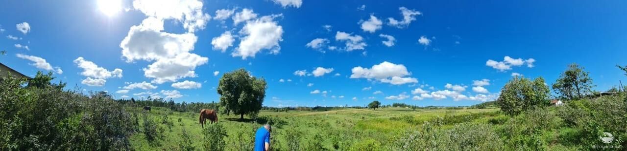 Fazenda, 141 hectares - Foto 34