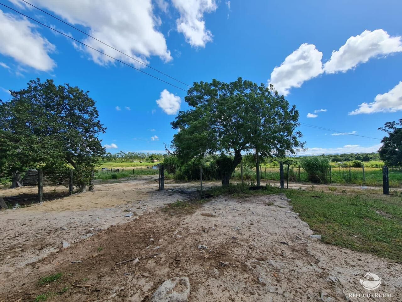 Fazenda, 141 hectares - Foto 37