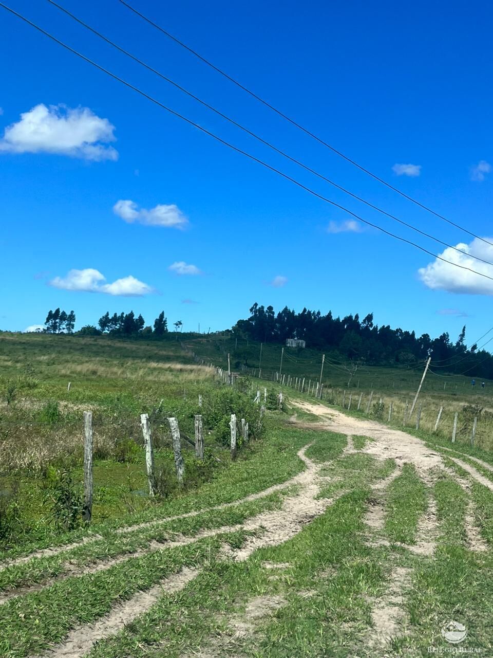 Fazenda, 141 hectares - Foto 21