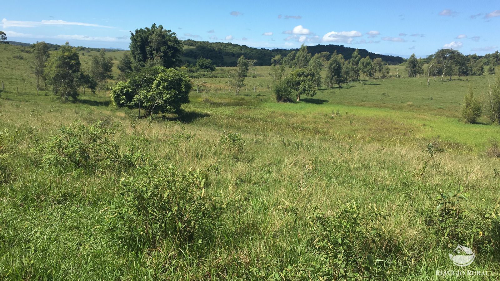 Fazenda, 141 hectares - Foto 6