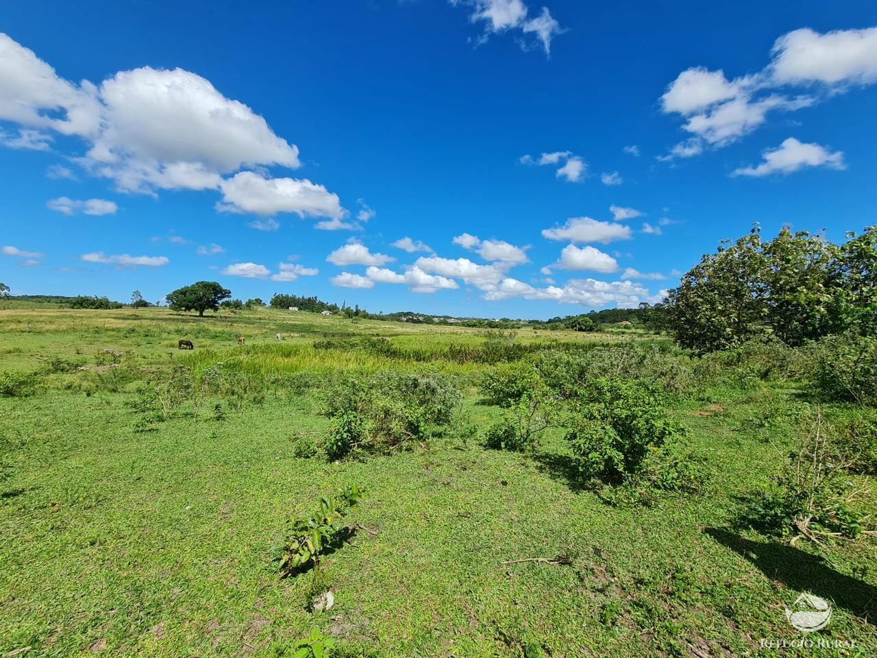 Fazenda, 141 hectares - Foto 35