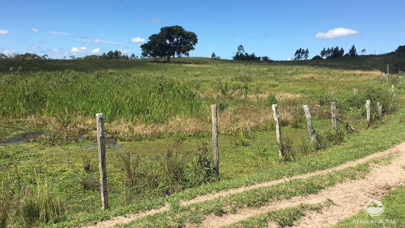 Fazenda, 141 hectares - Foto 10
