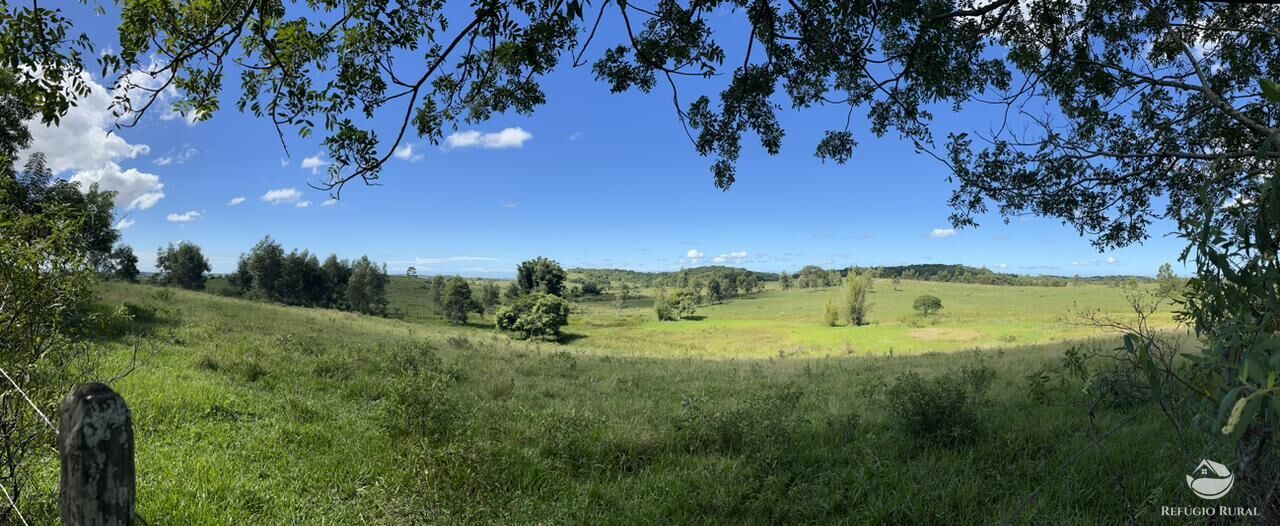 Fazenda, 141 hectares - Foto 26