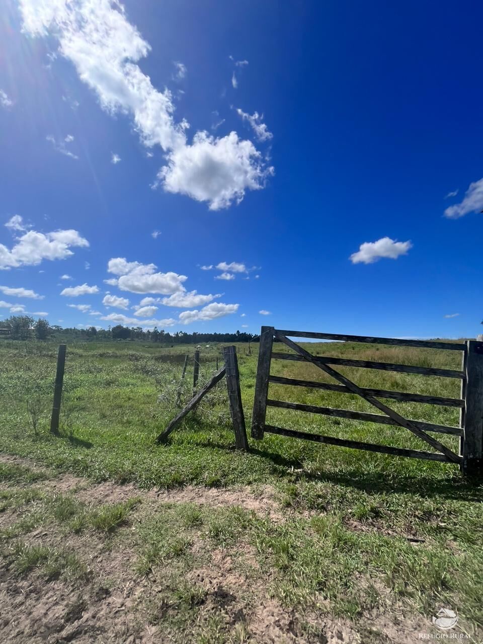 Fazenda, 141 hectares - Foto 19