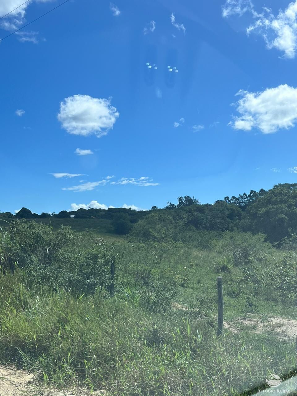 Fazenda, 141 hectares - Foto 16