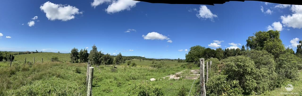 Fazenda, 141 hectares - Foto 22