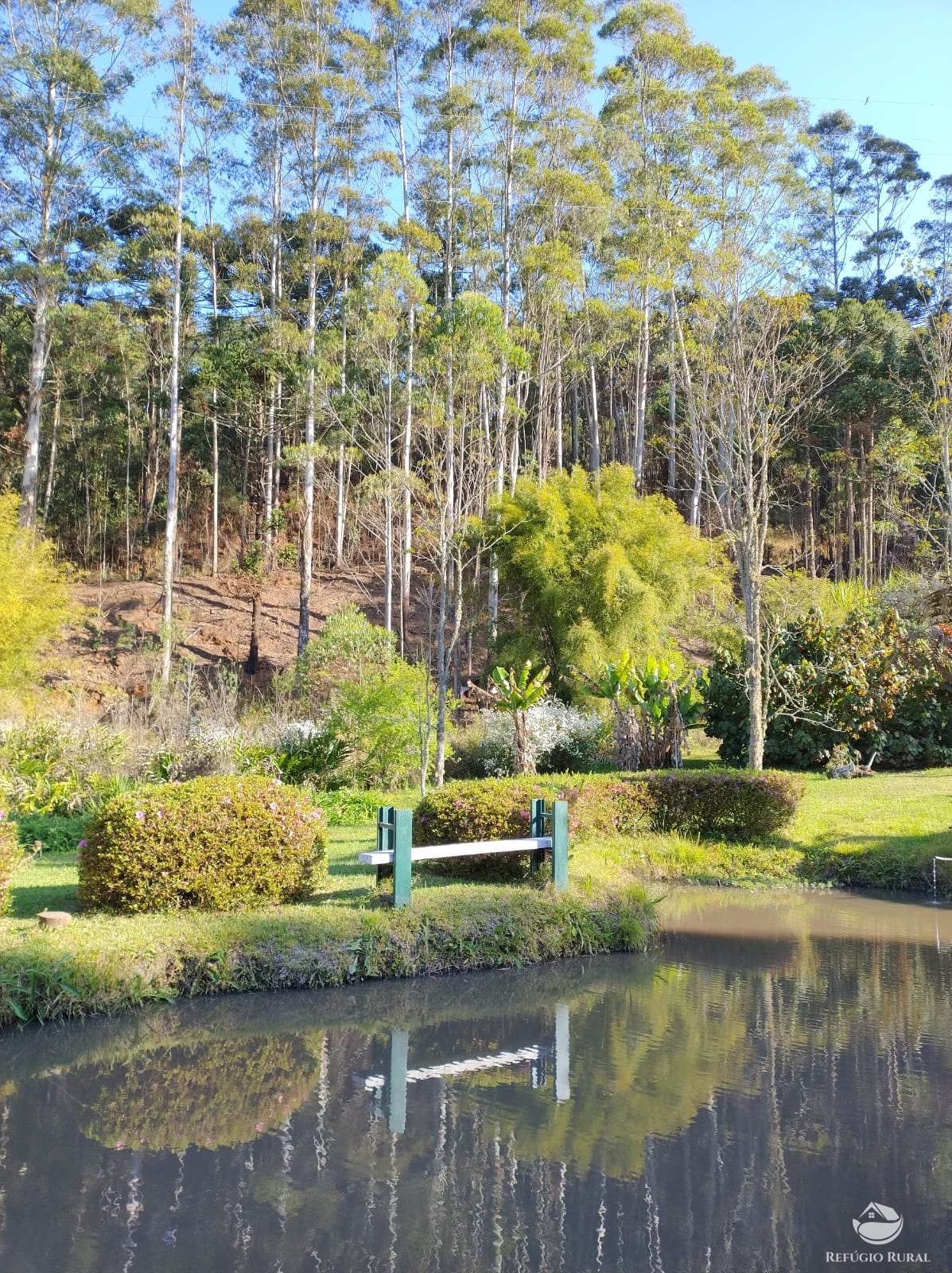 Fazenda à venda com 3 quartos, 36000m² - Foto 29