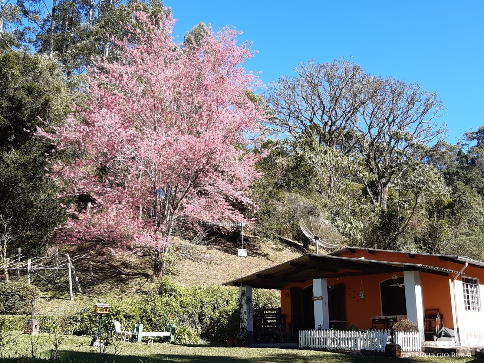 Fazenda à venda com 3 quartos, 36000m² - Foto 5