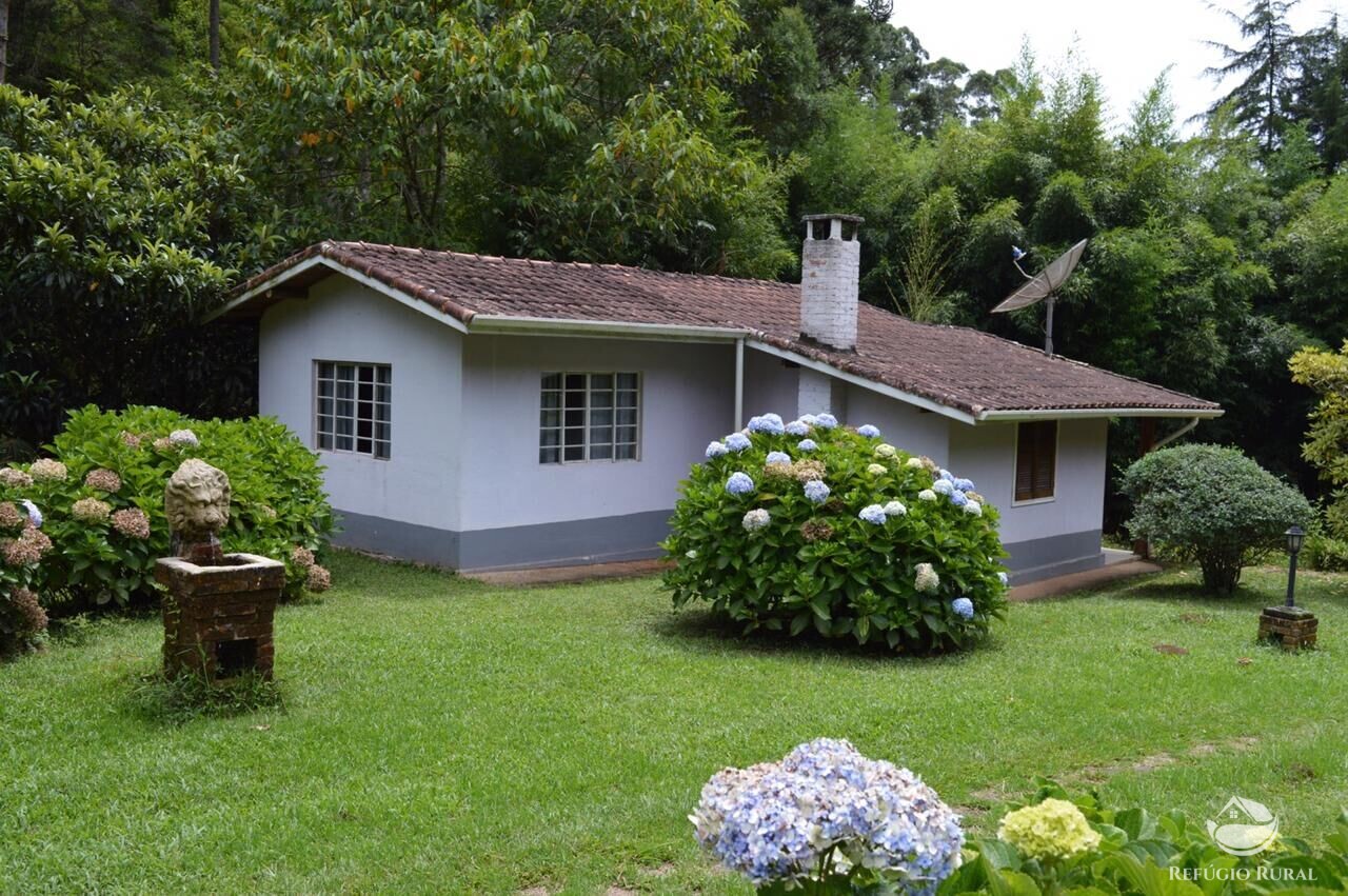 Fazenda à venda com 3 quartos, 36000m² - Foto 33