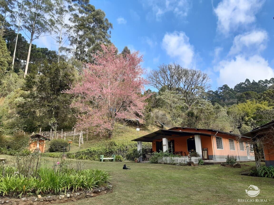 Fazenda à venda com 3 quartos, 36000m² - Foto 9