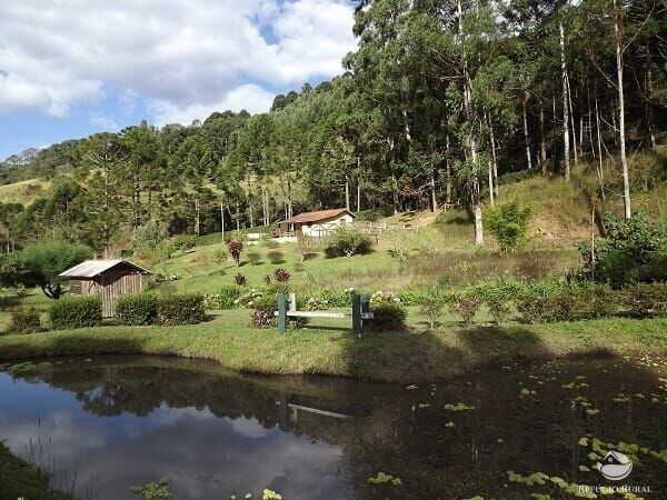 Fazenda à venda com 3 quartos, 36000m² - Foto 35