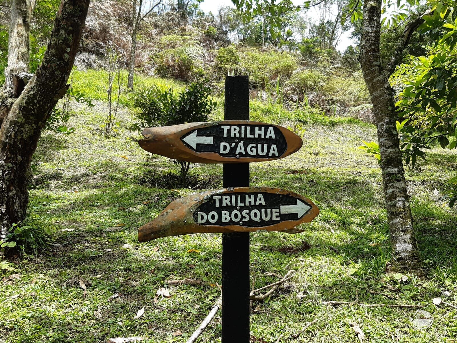 Fazenda à venda com 3 quartos, 36000m² - Foto 17