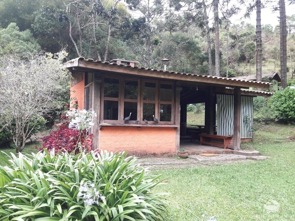 Fazenda à venda com 3 quartos, 36000m² - Foto 19