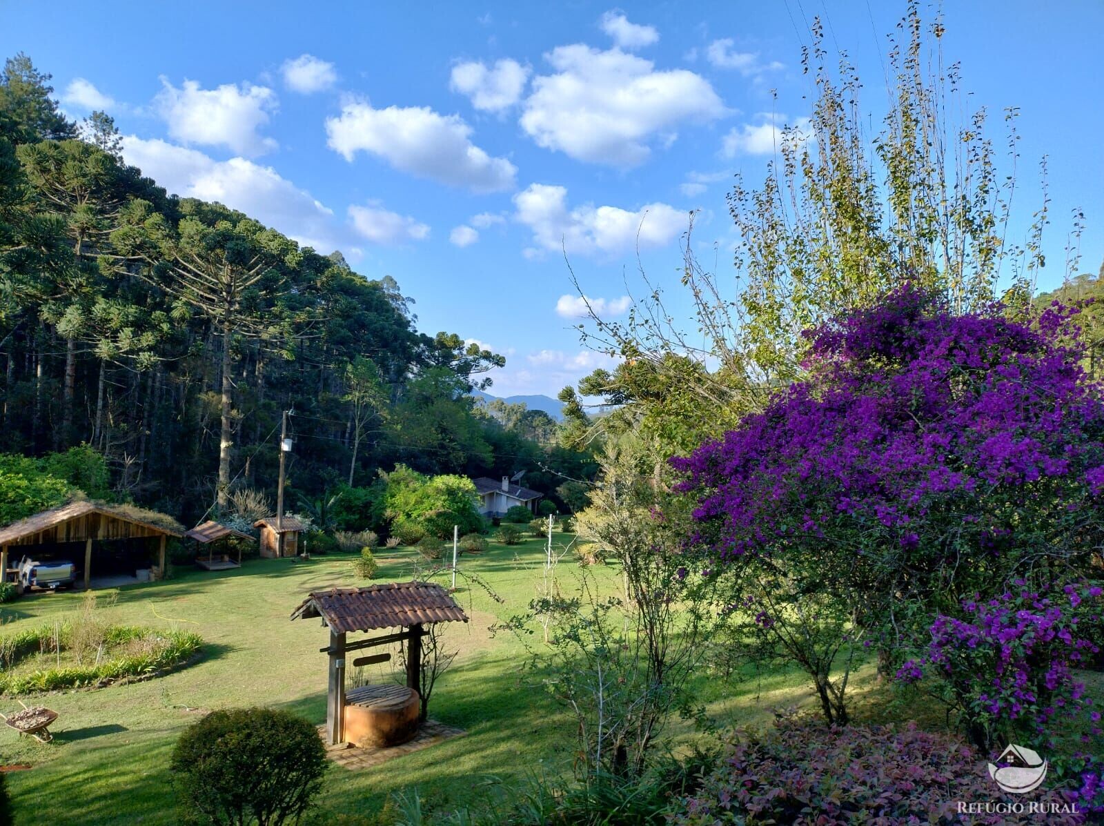 Fazenda à venda com 3 quartos, 36000m² - Foto 36