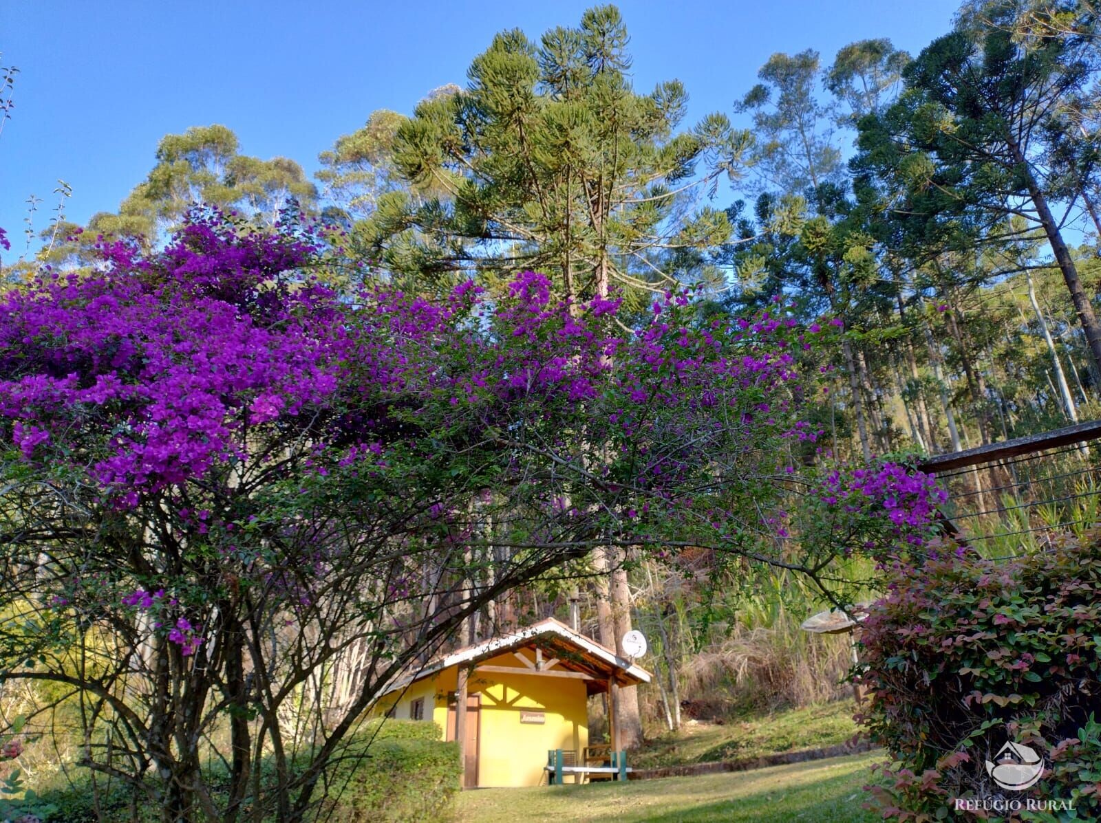 Fazenda à venda com 3 quartos, 36000m² - Foto 1